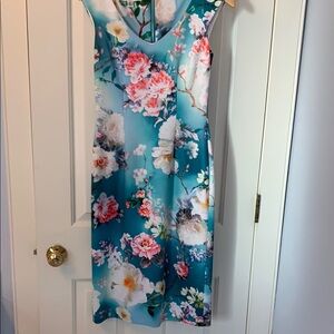 Floral Sleeveless Dress - Blue and Pink